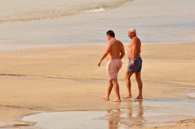 the-pleasant-companion